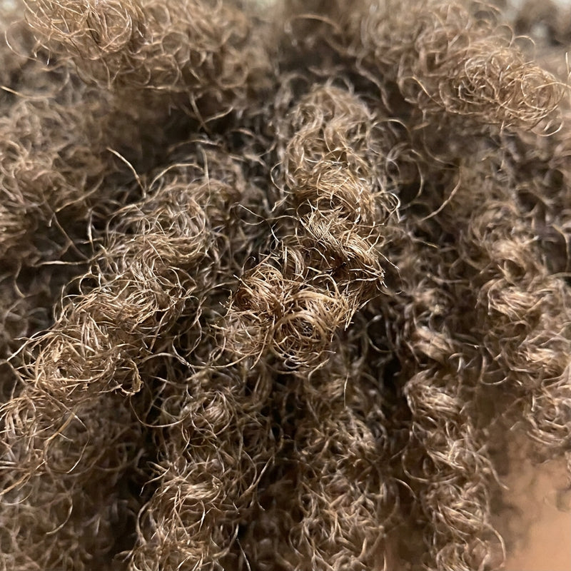 Before — dry, undefined curls